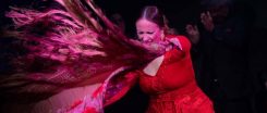 Espectaculo_Flamenco_La_Carmela_Godot_03